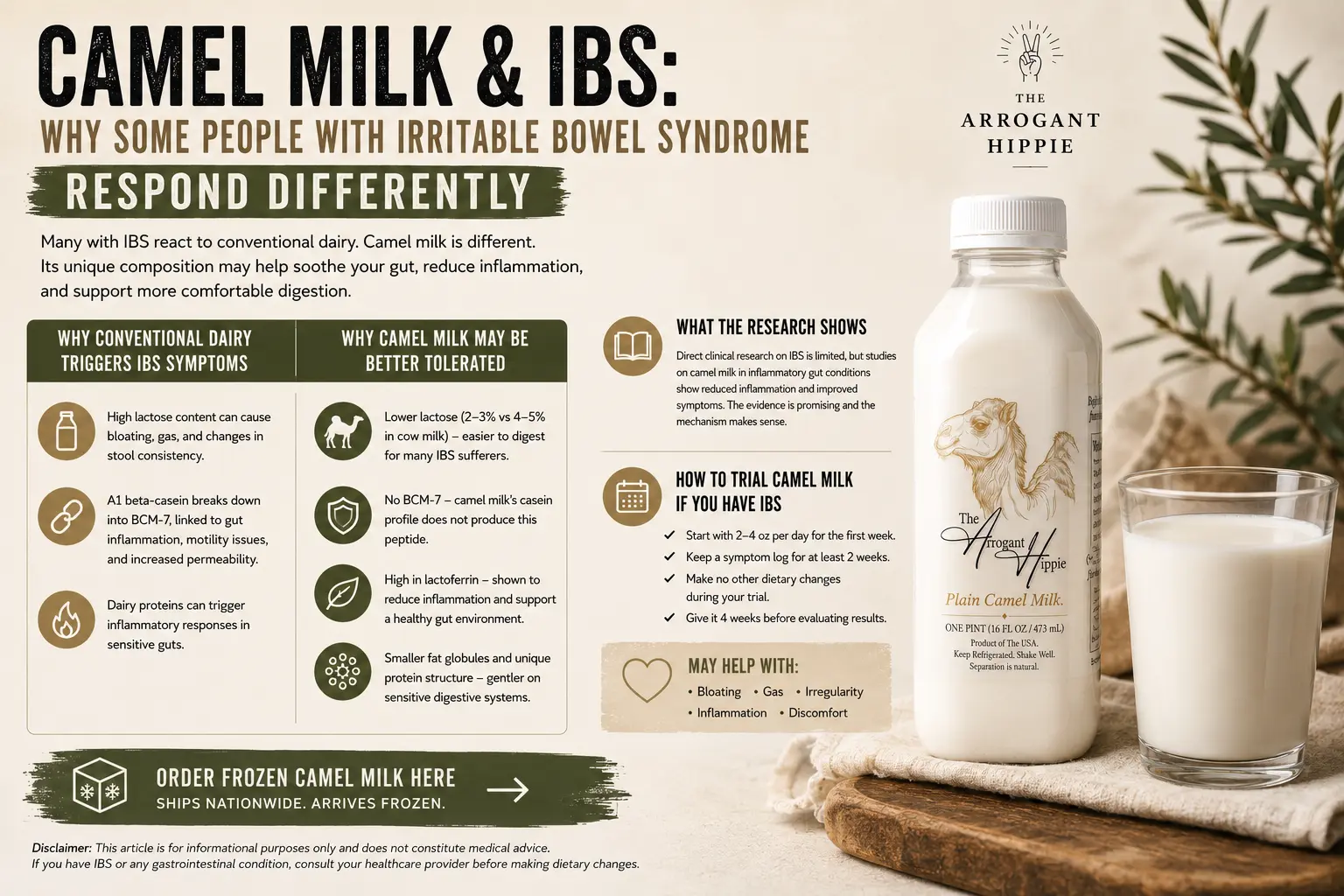Camel Milk and IBS: Why Some People With Irritable Bowel Syndrome Respond Differently editorial illustration