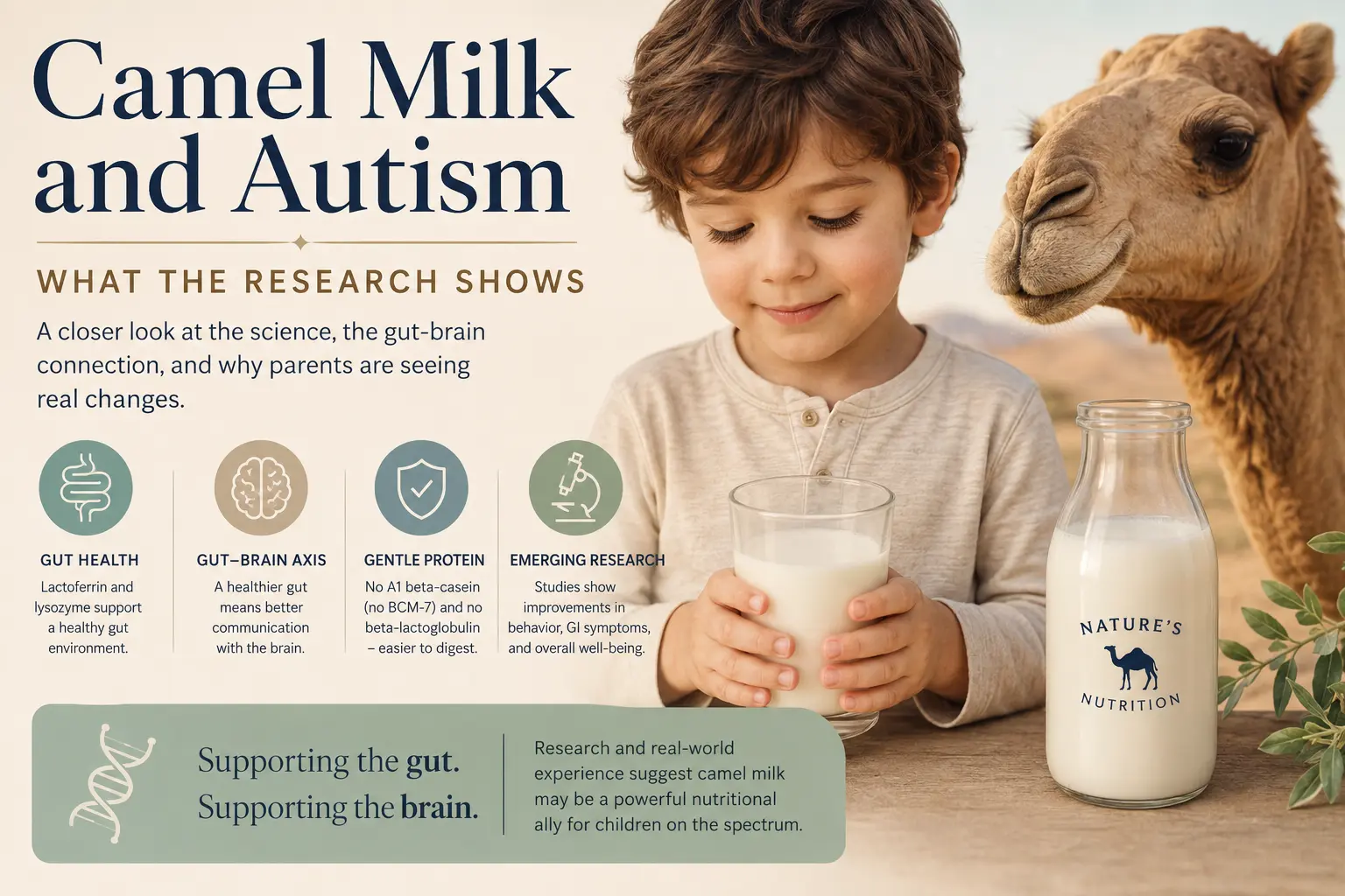Camel Milk and Autism: What Parents Are Discovering and What the Research Shows editorial illustration
