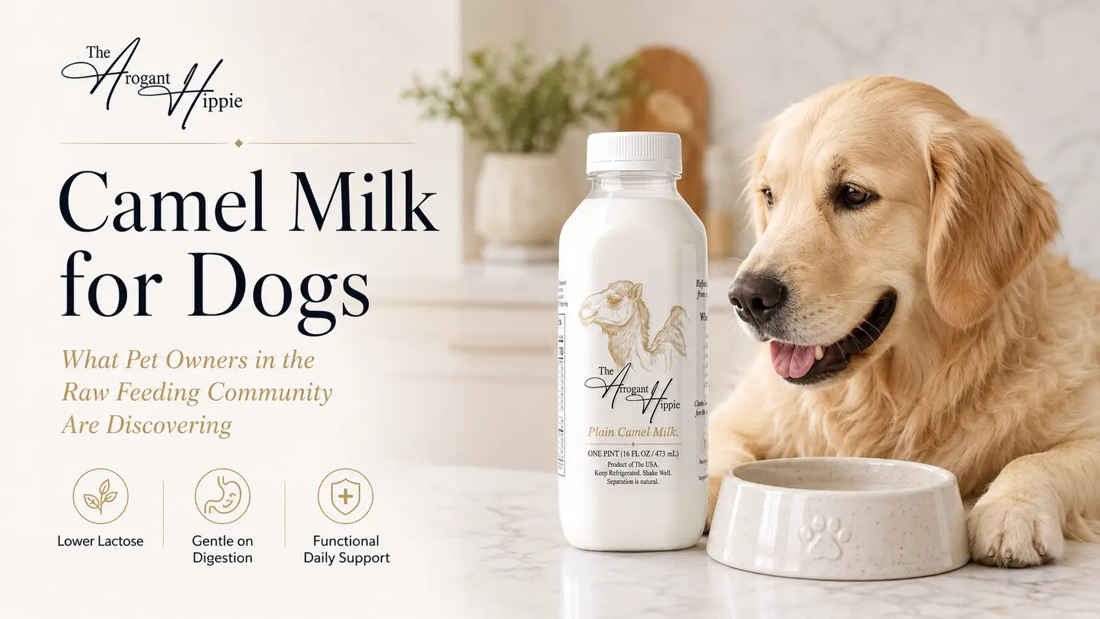Camel Milk for Dogs: What Pet Owners in the Raw Feeding Community Are Discovering editorial illustration
