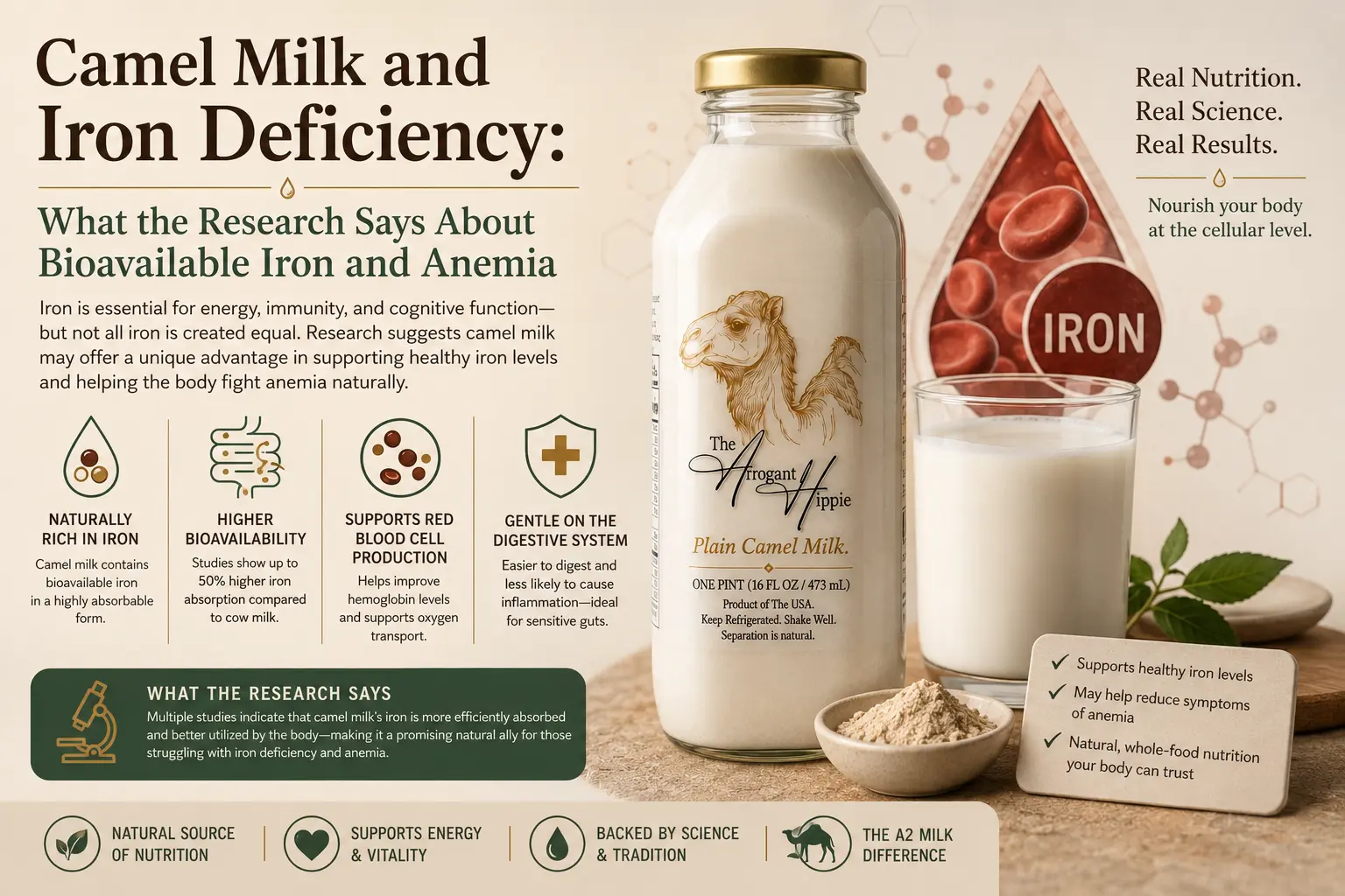 Camel Milk and Iron Deficiency: What the Research Says About Bioavailable Iron and Anemia editorial illustration