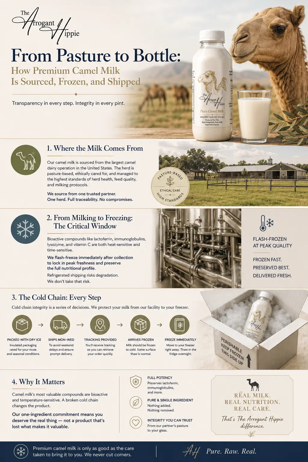From Pasture to Bottle: How Premium Camel Milk Is Sourced, Frozen, and Shipped editorial illustration